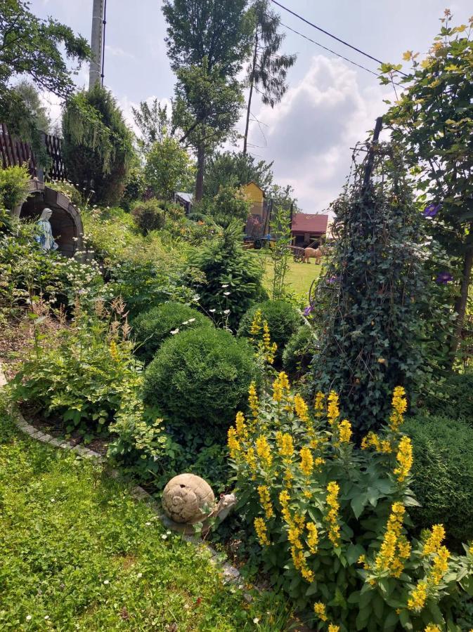 U Ilony Homestay